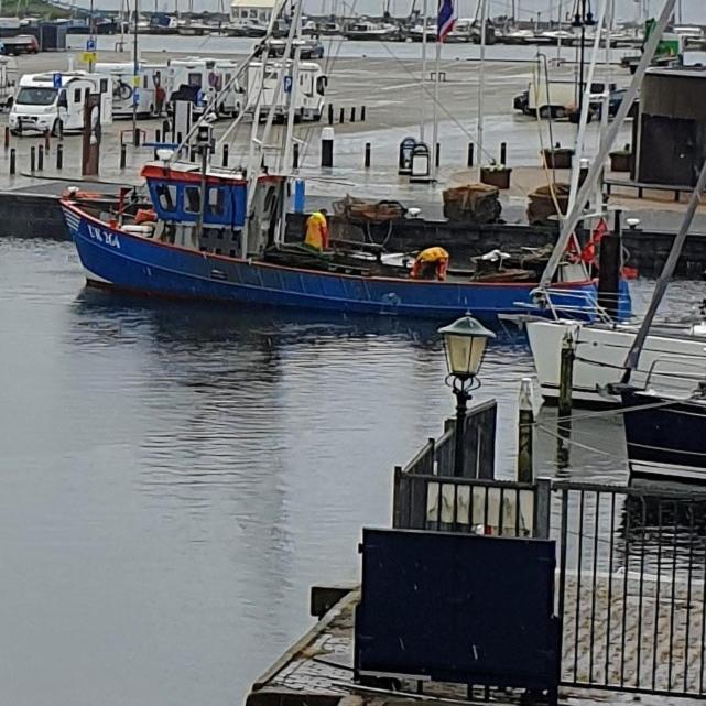 B&B Werfzicht Urk Esterno foto